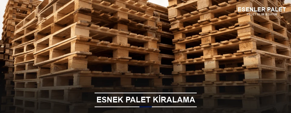 Esenler Uygun Fiyatlı Palet Kiralama